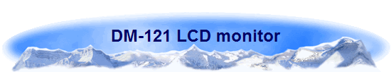 DM-121 LCD monitor